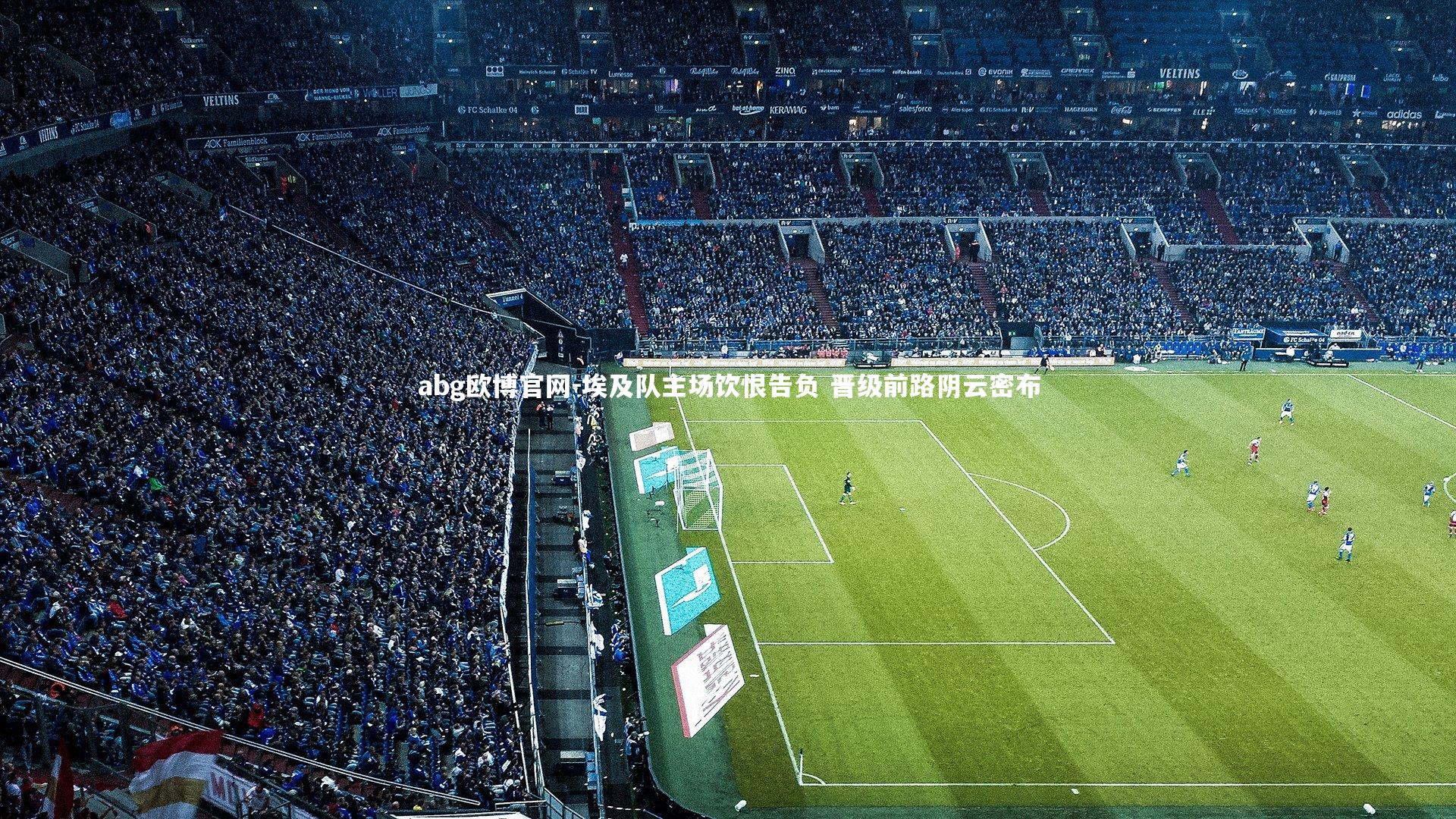 abg欧博官网-埃及队主场饮恨告负 晋级前路阴云密布